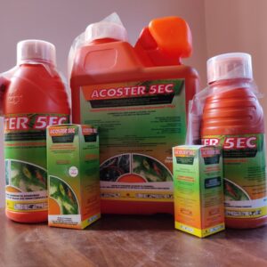 acoster.jpg
