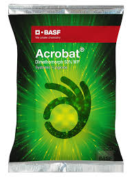 acrobat.jpg