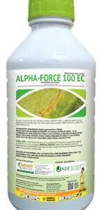 alpha force.jpg