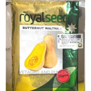 butternut.webp