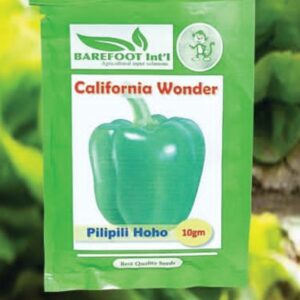 california wonder 25g safari.jpg