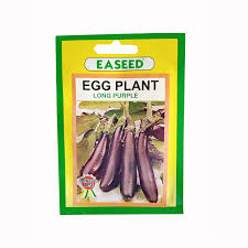 eggplant 10g easd 1.jpeg