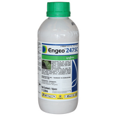engeo 100ml 1.png