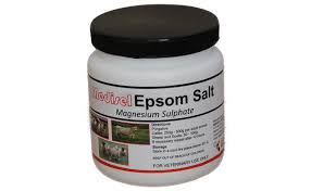 epsom salt 250gm medisel.jpeg