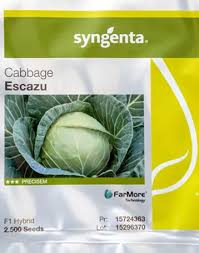 escazu 2500sd 12.5gsyg.jpeg