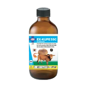 ex kupe 20ml.webp
