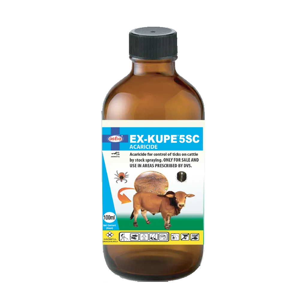 ex kupe 20ml.webp ex kupe 20ml.webp