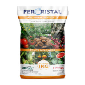 fercristal n 500gm.jpg