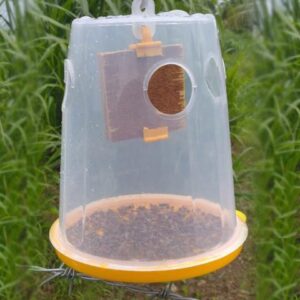 fly trap container.jpg