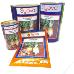 fodder beet 50g.jpg
