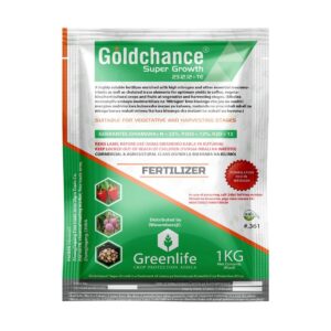 goldchance 1kg ff.jpg