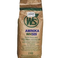 hbm ws 509 155x300 2.jpg