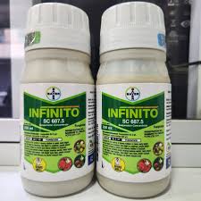 infinito 250ml.jpeg
