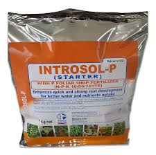 intrasol 1kg p.jpeg