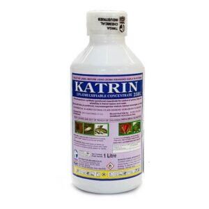 katrin 100m.jpg