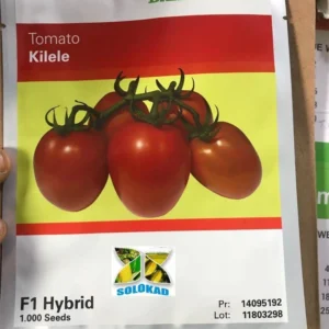 kilele 1000sds syg.webp