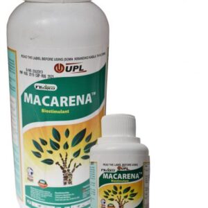 macarena 100ml.jpg