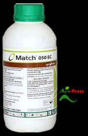 match 100 ml.jpeg