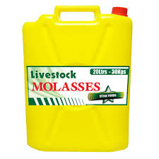 mollasses 20ltr 1.jpeg