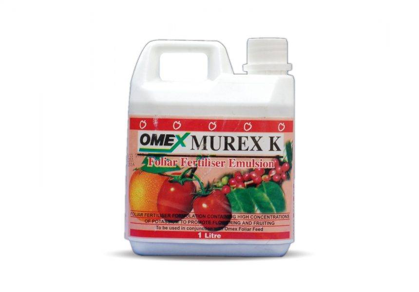 murex k 500ml.jpg murex k 500ml.jpg