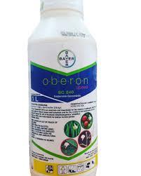 oberon speed 100ml.jpeg