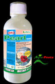 pearl 100ml.jpeg
