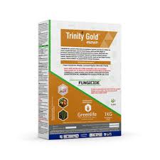 trinity gold 100gm.jpeg