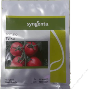 tylka 1000sds syg.png