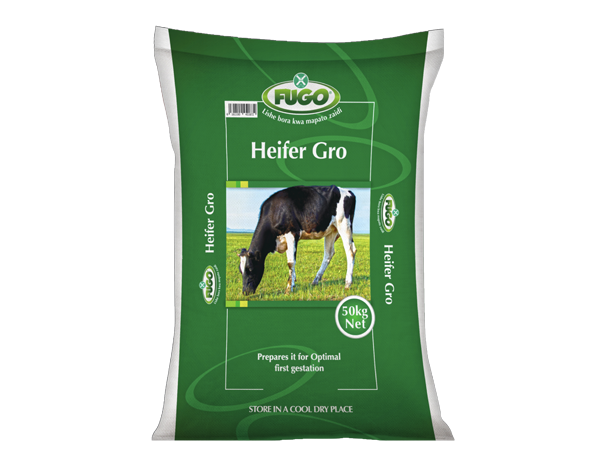 Animal Feeds