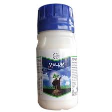 velum prime 50ml.jpeg