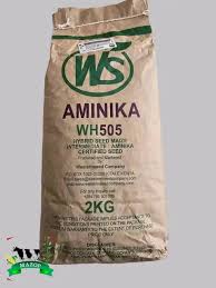 aminika 505.jpg