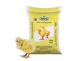 chick and duckling mash 2.jpg