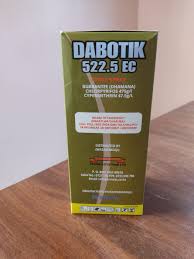 dabotik.jpg