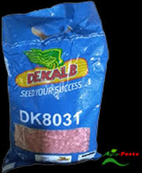 dk 8035 1.jpg