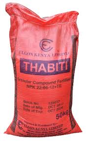 elgon dhabiti.jpg