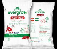 korn kali fertilizer.jpg