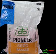 pioneer 3507.jpg