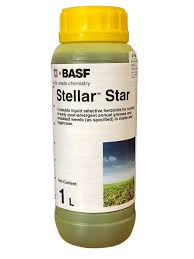 stellar star.jpg