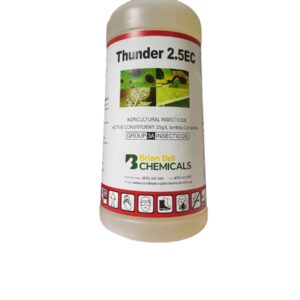 thurnder.jpg