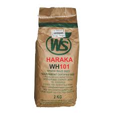ws haraka 101.jpg
