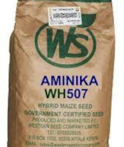 ws wh 507 1.jpg